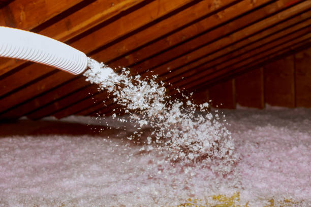 Best Insulation for Specific Applications in Orange City, FL