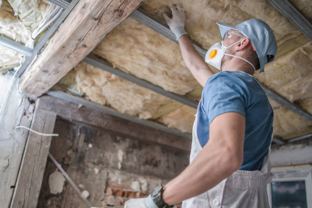 Best Insulation Maintenance and Repair in Orange City, FL