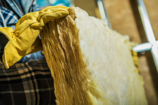 Best Residential Insulation in Orange City, FL