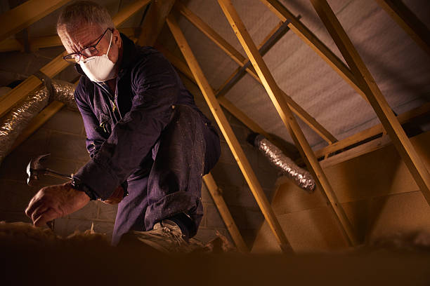 Best Insulation Materials and Products in Orange City, FL